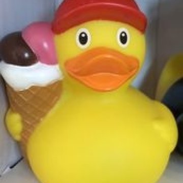 366003707_3514094332192567_7789754824893479798_n